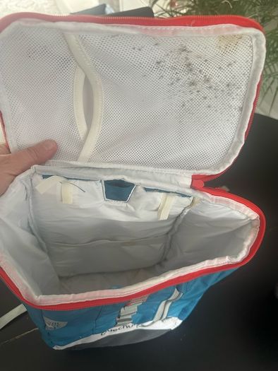 Backpack cooler bags