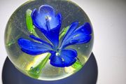 Glass Paperweight - Blue Crocus Flower