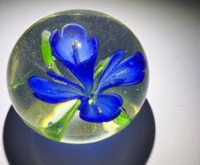 Glass Paperweight - Blue Crocus Flower