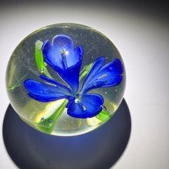 Glass Paperweight - Blue Crocus Flower