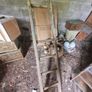 Antique Ladder Image 3