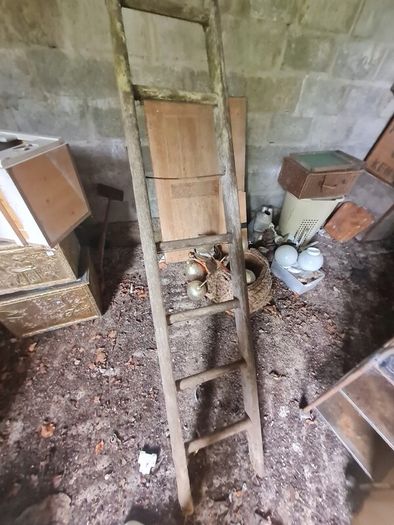 Antique Ladder