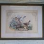 antique print, bird prints Image 7