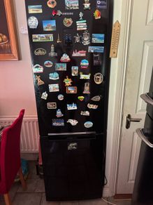 Samsung fridge