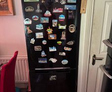 Samsung fridge