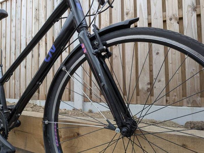 Ladies Bike - Liv Alight