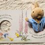 Peter Rabbit Let's Cuddle Big Puppet Play Book Image 7