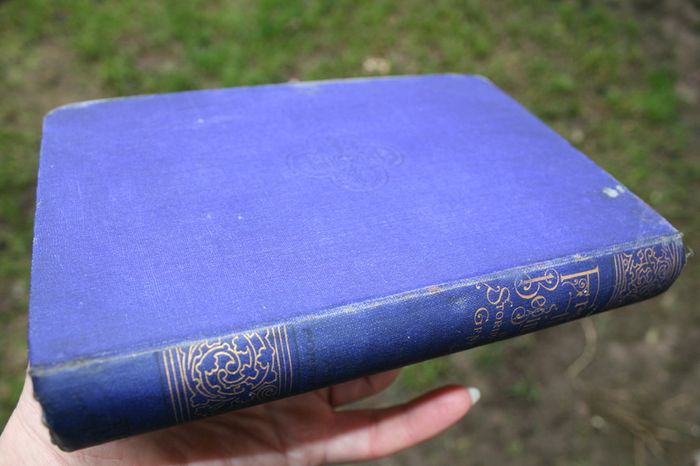 Bible Stories From the Beginning. Stories From Genesis. Morton, G E