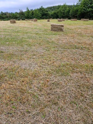 Organic Hay