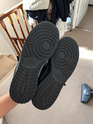 Nike dunk low retro se