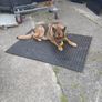 grass ground protector mat Image 2