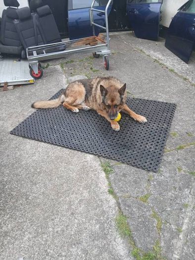 grass ground protector mat