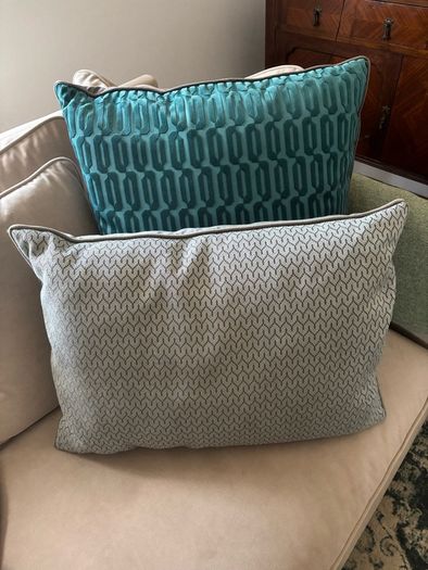 Roche Bobois cushions