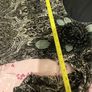 Black Lacy Per Una Top Image 5