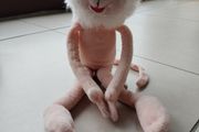 teddy