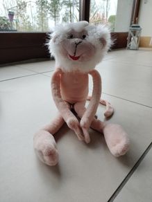 teddy