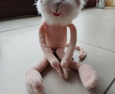 teddy