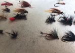 Salmon and Trout Flies