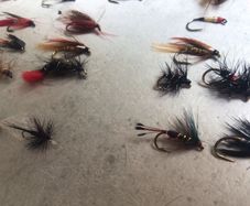 Salmon and Trout Flies