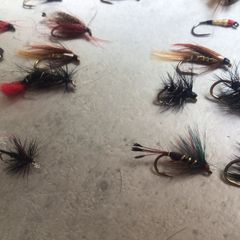 Salmon and Trout Flies