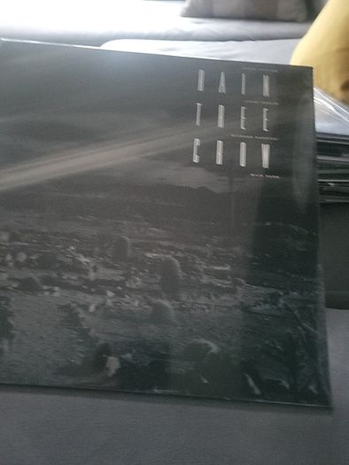 Rain Tree Crow vinyl (japan) 2019 europe