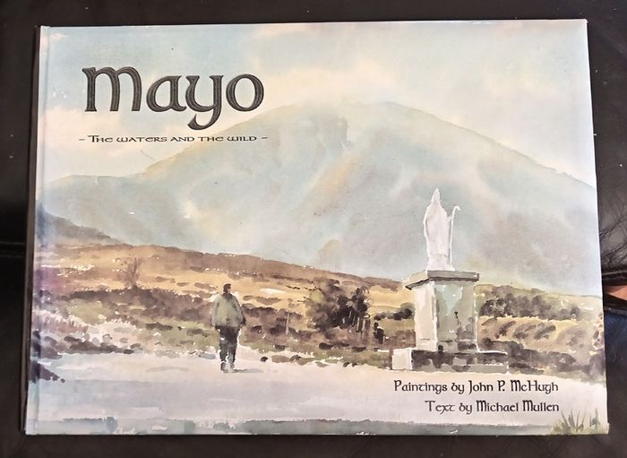 Mayo The Waters and the Wild Book