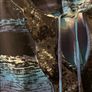 100% Silk Tunic Style Top Image 2