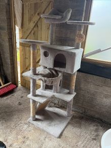 cat house