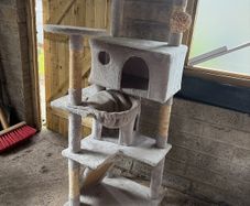 cat house