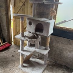 cat house