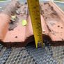 Roof tiles Image 2