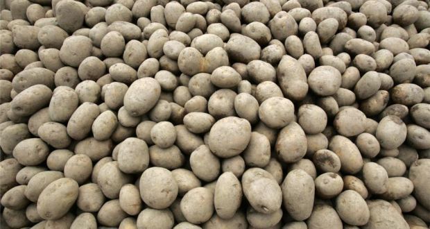 Potatoes for Sale...Beat the Supermarket!