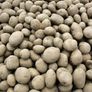Potatoes for Sale...Beat the Supermarket! Image 4