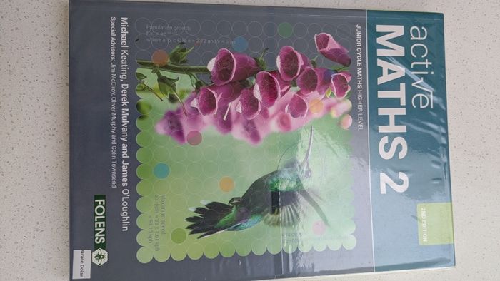 Active Maths 2 Junior Cycle Maths Higher Level