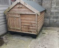 xl dog kennel