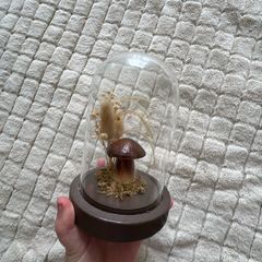 Mushroom Cloche Dome Light