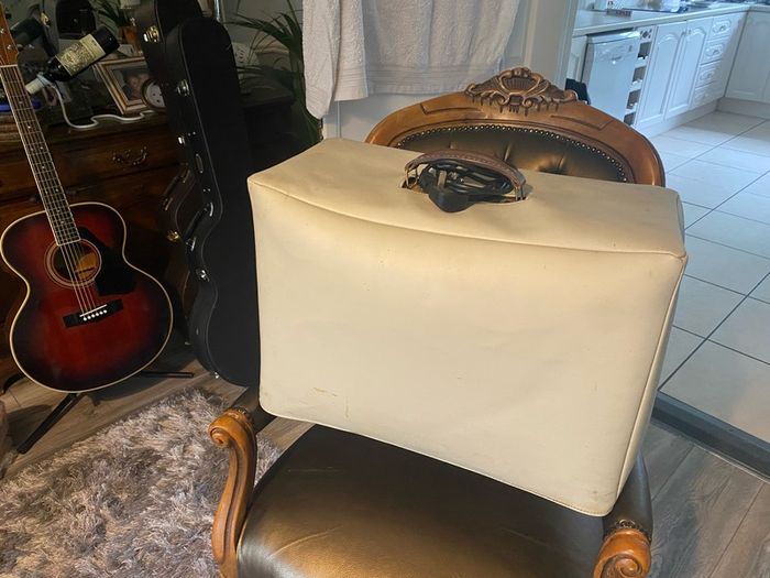 Marshall AS50D Amp