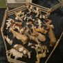 Schleich Horse Large Lot  Stable, Horses, Fencing,car Ambulance  Accessories Image 10
