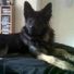Toby2011