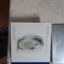 Millenium Dome 5 pound coin in presentation case Image 3