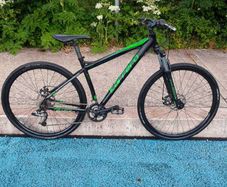 Carrera Hellcat Mountain Bike