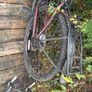 ladies mountain bike Image 4
