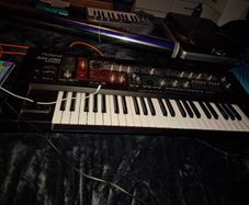 Roland SH-201 Synthesizer