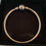 Price Drop New Pandora Moments Bracelet plus Gift Box Incl Image 4