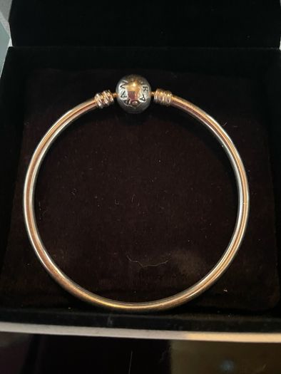 Price Drop New Pandora Moments Bracelet plus Gift Box Incl