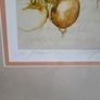 Lovely signed illustration i Pomodori (Tomato) Image 3