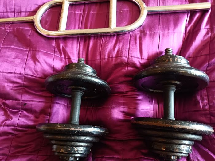 dumbbells 32kg