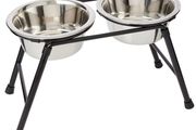 Double Dish High Feeder Bowls for Dogs