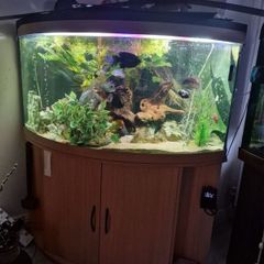 Juwel 350l corner setup