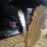 unusual gold palm leaf mirror top table Image 3